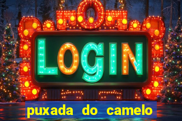 puxada do camelo jogo do bicho